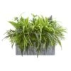22" Mixed Greens & Fern Plant In Stone Planter -Michaels Shop D350257S 1