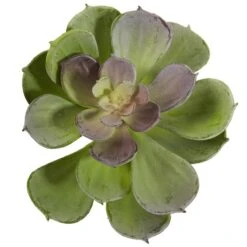 Green Echeveria Succulent Pick, 12ct. -Michaels Shop D350269S 3