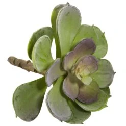 Green Echeveria Succulent Pick, 12ct. -Michaels Shop D350269S 4
