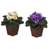 10" African Violet In Planter Set -Michaels Shop D350294S 1