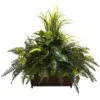 3ft. Mixed Grass & River Fern In Wood Planter -Michaels Shop D350299S 11