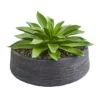 10" Large Succulent Artificial Plant In Decorative Bowl 1 10" Large Succulent Artificial Plant In Decorative Bowl -Michaels Shop D350300S 11