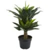 2.4ft. Potted Double Agave Succulent Artificial Plant -Michaels Shop D350325S 11