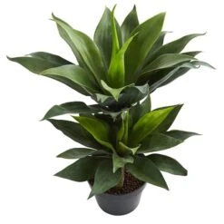 2.4ft. Potted Double Agave Succulent Artificial Plant 10 2.4ft. Potted Double Agave Succulent Artificial Plant -Michaels Shop D350325S 12