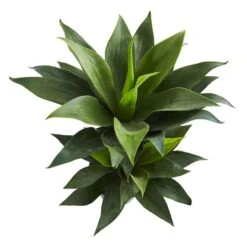 2.4ft. Potted Double Agave Succulent Artificial Plant 11 2.4ft. Potted Double Agave Succulent Artificial Plant -Michaels Shop D350325S 13