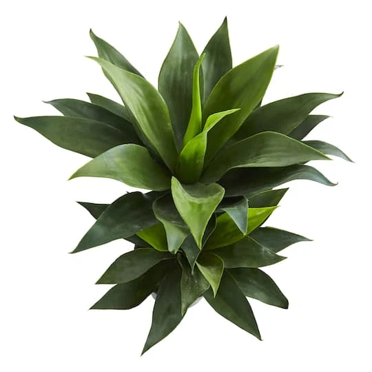 2.4ft. Potted Double Agave Succulent Artificial Plant 6 2.4ft. Potted Double Agave Succulent Artificial Plant - Image 4