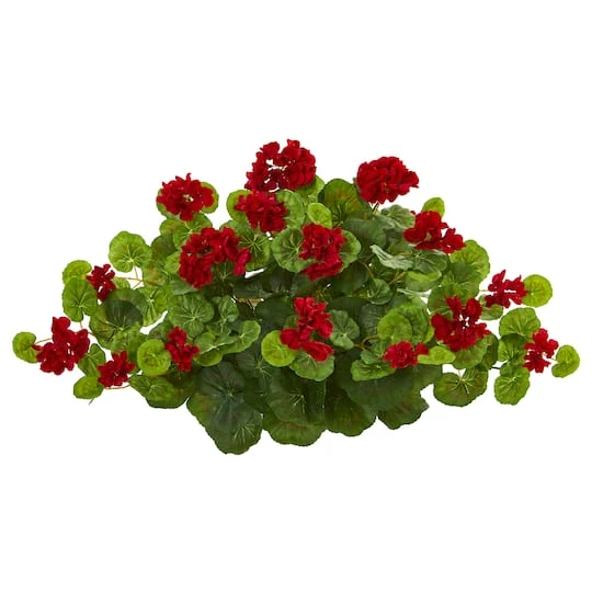 12" Geranium Ledge Plant 4 12" Geranium Ledge Plant - Image 2