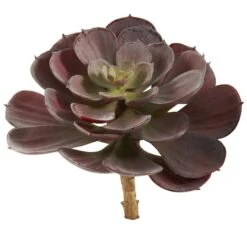 Burgundy Echeveria Succulent Pick, 12ct. -Michaels Shop D350366S 2