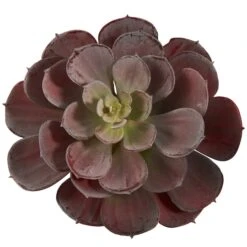 Burgundy Echeveria Succulent Pick, 12ct. -Michaels Shop D350366S 3