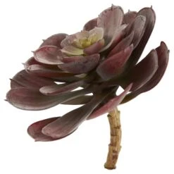 Burgundy Echeveria Succulent Pick, 12ct. -Michaels Shop D350366S 4