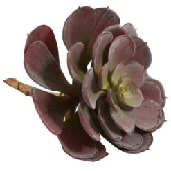 Burgundy Echeveria Succulent Pick, 12ct. -Michaels Shop D350366S 5