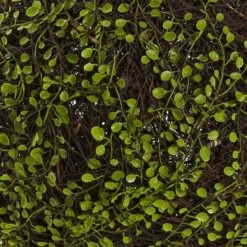 Wire Vine Bush -Michaels Shop D350386S 13