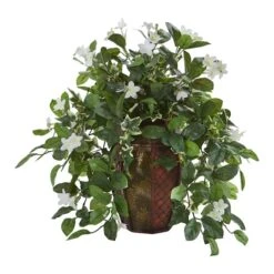 17" Stephanotis & Ivy Plant In Decorative Planter 5 17" Stephanotis & Ivy Plant In Decorative Planter -Michaels Shop D350390S 1 1