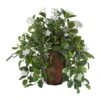 17" Stephanotis & Ivy Plant In Decorative Planter -Michaels Shop D350390S 1