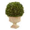 12in. Boxwood Topiary Ball In Decorative Urn -Michaels Shop D350409S 11
