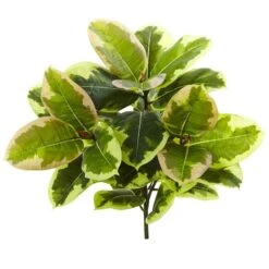 Green Rubber Leaf Plant, 3ct. -Michaels Shop D350416S 3