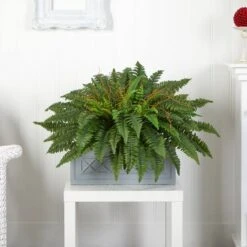 2.5ft. Boston Fern Plant In Stone Planter -Michaels Shop D350456S 12