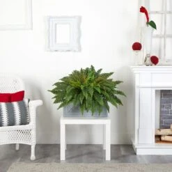 2.5ft. Boston Fern Plant In Stone Planter -Michaels Shop D350456S 13