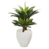 3ft. Double Agave Succulent Plant In White Planter -Michaels Shop D350471S 1
