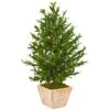 3ft. UV Resistant Olive Cone Topiary Tree In Terra Cotta Planter -Michaels Shop D350475S 11