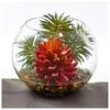 6" Mixed Succulent In Round Vase -Michaels Shop D350526S 1