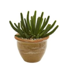 11" Cactus Succulent In Ceramic Vase Set -Michaels Shop D350630S 3