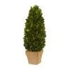 16in. Boxwood Cone In Tan Planter 2 16in. Boxwood Cone In Tan Planter -Michaels Shop D350653S 1