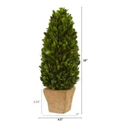 16in. Boxwood Cone In Tan Planter -Michaels Shop D350653S 2