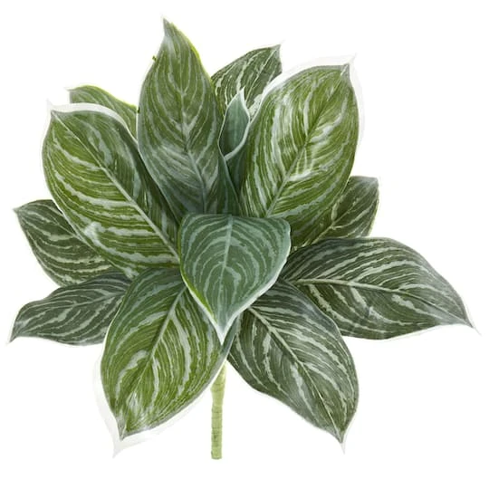 Silver Chinese Evergreen Plant, 6ct. 4 Silver Chinese Evergreen Plant, 6ct. - Image 2