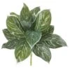 Silver Chinese Evergreen Plant, 6ct. -Michaels Shop D350705S 1