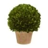 15'' Boxwood Ball Preserved Plant In Brown Planter