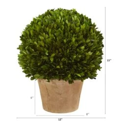 15'' Boxwood Ball Preserved Plant In Brown Planter -Michaels Shop D350710S 12