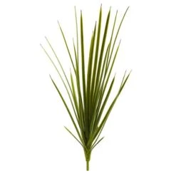 Agave Schottii Plant, 3ct. -Michaels Shop D350724S 1 1