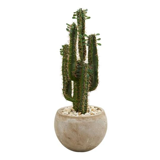 2.5ft. Cactus In Bowl Planter 4 2.5ft. Cactus In Bowl Planter - Image 2