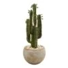 2.5ft. Cactus In Bowl Planter -Michaels Shop D350775S 11