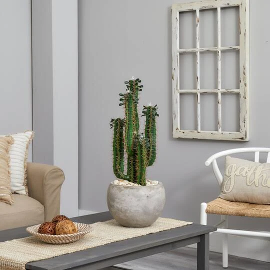 2.5ft. Cactus In Bowl Planter 5 2.5ft. Cactus In Bowl Planter - Image 3