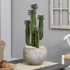 2.5ft. Cactus In Bowl Planter 10 2.5ft. Cactus In Bowl Planter -Michaels Shop D350775S 13