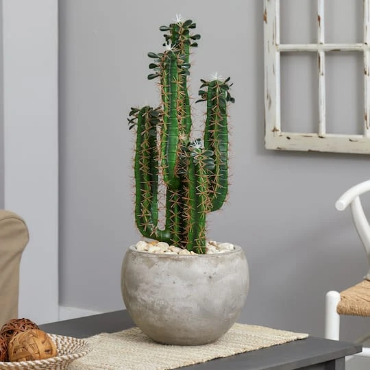 2.5ft. Cactus In Bowl Planter 6 2.5ft. Cactus In Bowl Planter - Image 4
