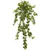 Curly Ivy Hanging Plant, 3ct. -Michaels Shop D350807S 1