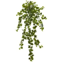 Curly Ivy Hanging Plant, 3ct.