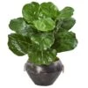 22" Fiddle Leaf Plant In Decorative Planter -Michaels Shop D350902S 1