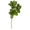 3ft. Magnolia Leaf Spray Plant, 3ct. -Michaels Shop D350909S 1