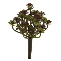 Sedum Succulent Plant, 8ct. 6 Sedum Succulent Plant, 8ct. -Michaels Shop D350942S 1 1