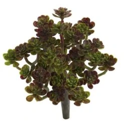 Sedum Succulent Plant, 8ct. 7 Sedum Succulent Plant, 8ct. -Michaels Shop D350942S 2