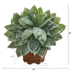 18" Chinese Evergreen Plant In Decorative Planter -Michaels Shop D351000S 2