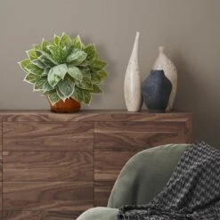 18" Chinese Evergreen Plant In Decorative Planter -Michaels Shop D351000S 3