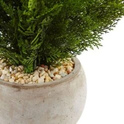 2ft. Cedar Plant In Sand Colored Bowl 7 2ft. Cedar Plant In Sand Colored Bowl -Michaels Shop D351010S 2