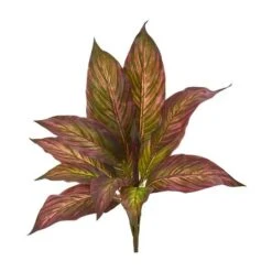 Musa Leaf Bush Plant, 12ct. -Michaels Shop D351015S 1 1