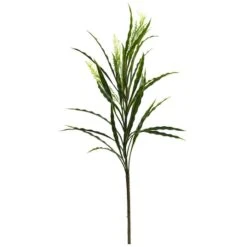 2.25ft. Vanilla Grass Plant, 24ct.