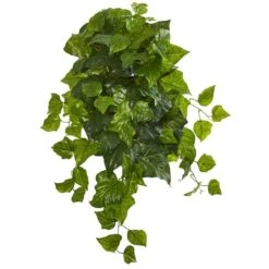 Green Deluxe London Ivy Hanging Bush, 3ct. -Michaels Shop D351226S 1 1